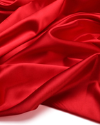 © Liliia Rudchenko - Fotolia.com